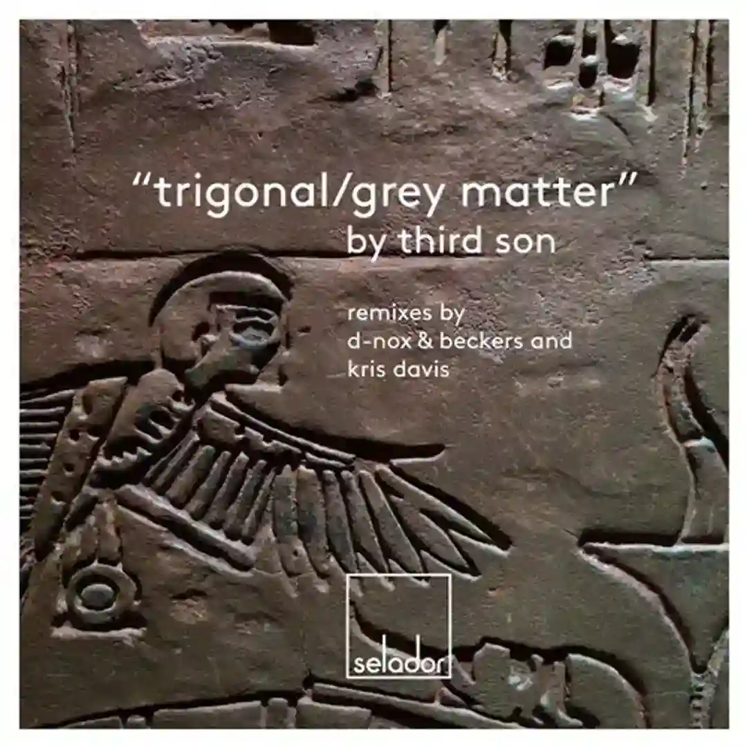 Grey Matter (Original Mix) cover