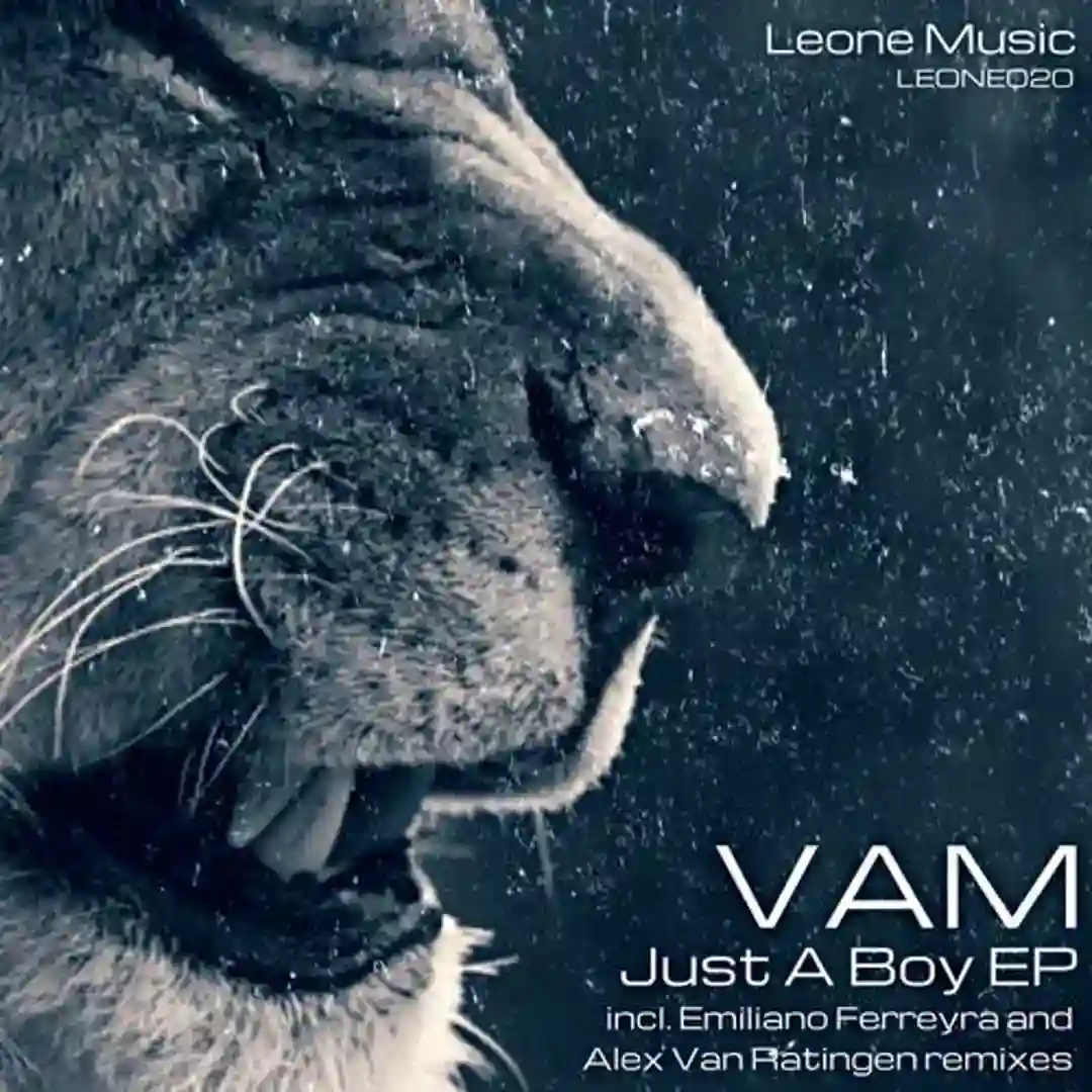 Just A Boy (Emiliano Ferreyra Remix) cover