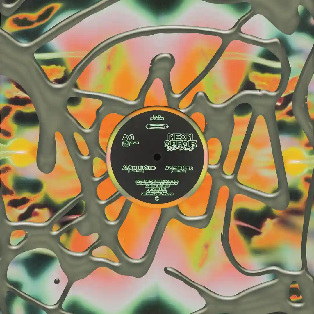 Point Nemo (Spray remix) cover