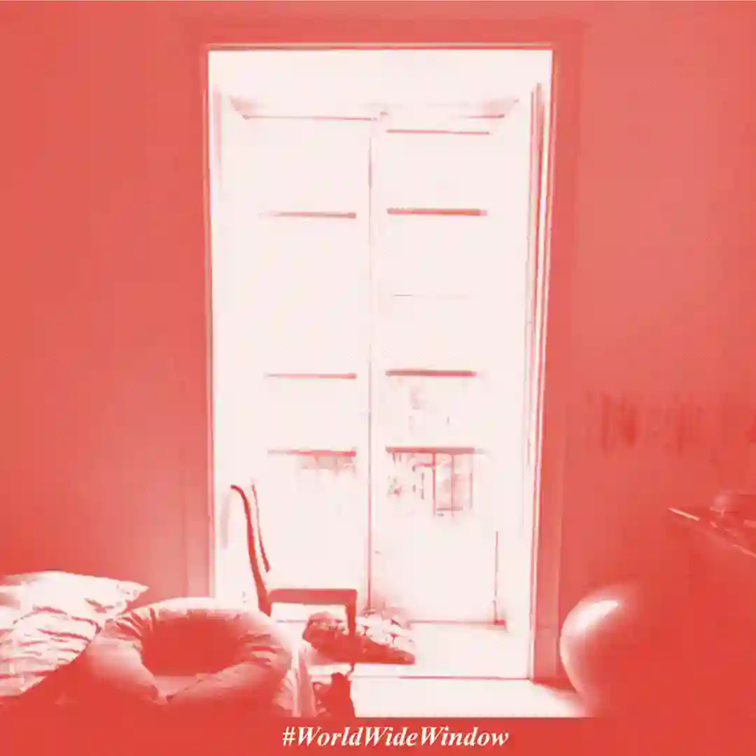 Window Glows cover