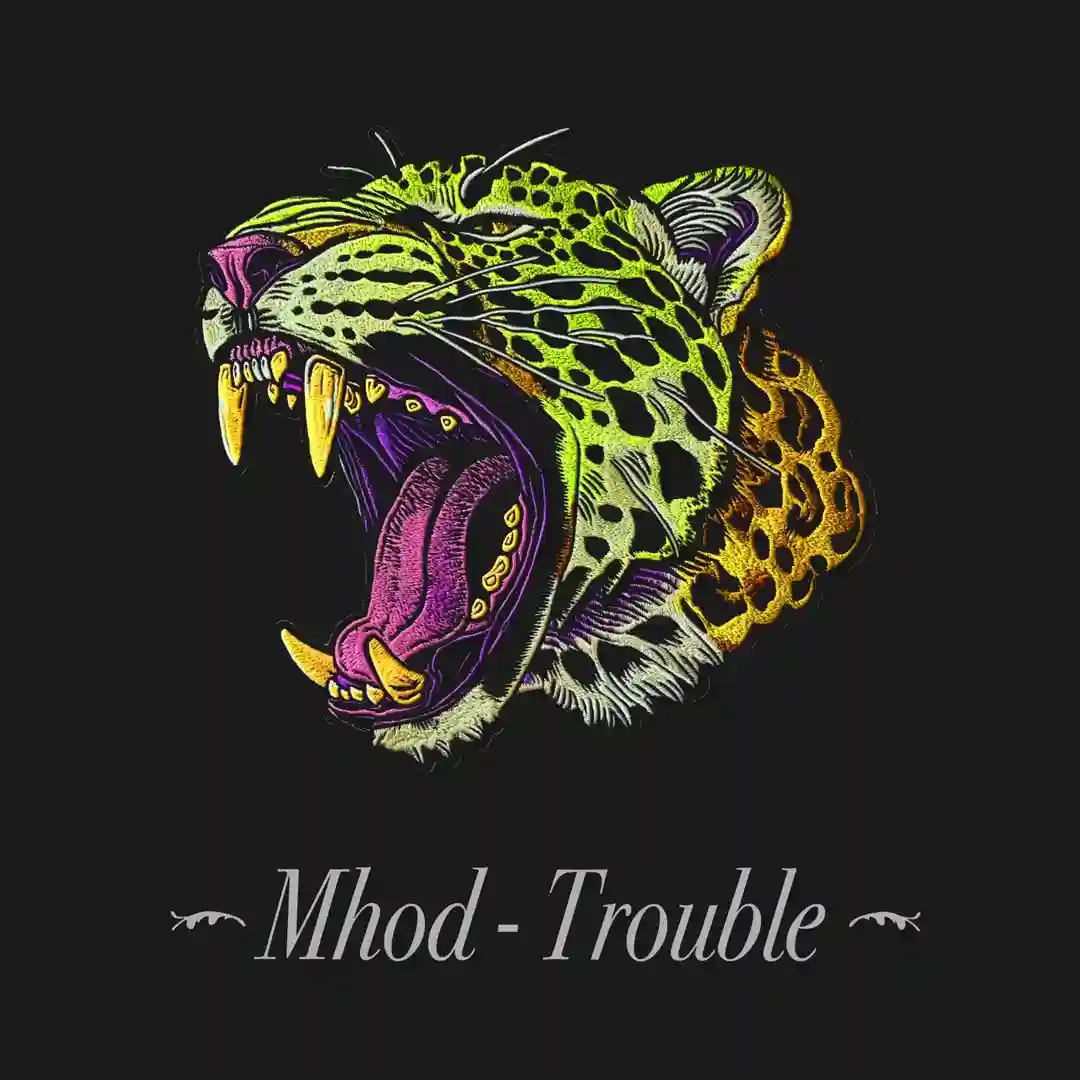 Trouble cover