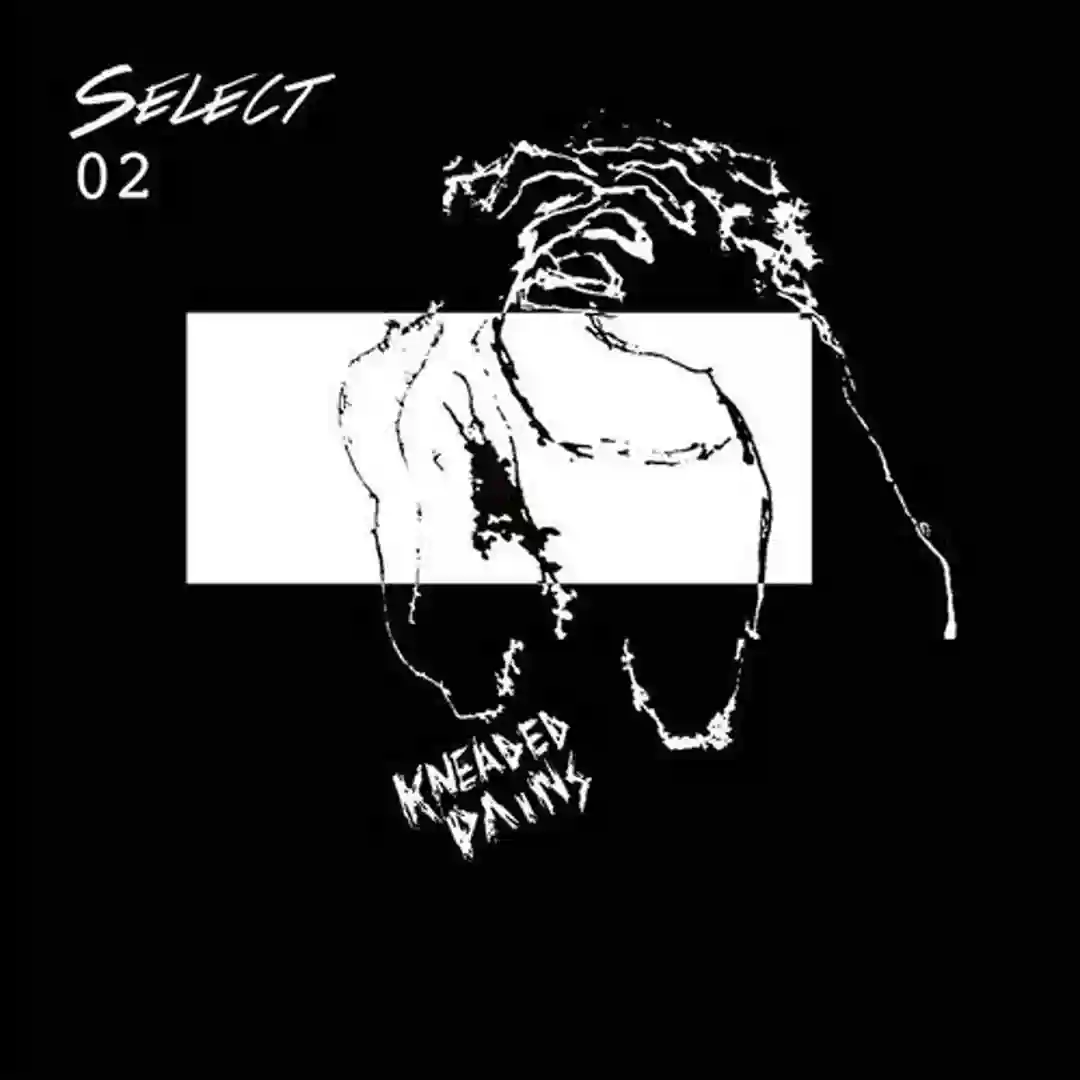 Wack Stabber (Original Mix) cover