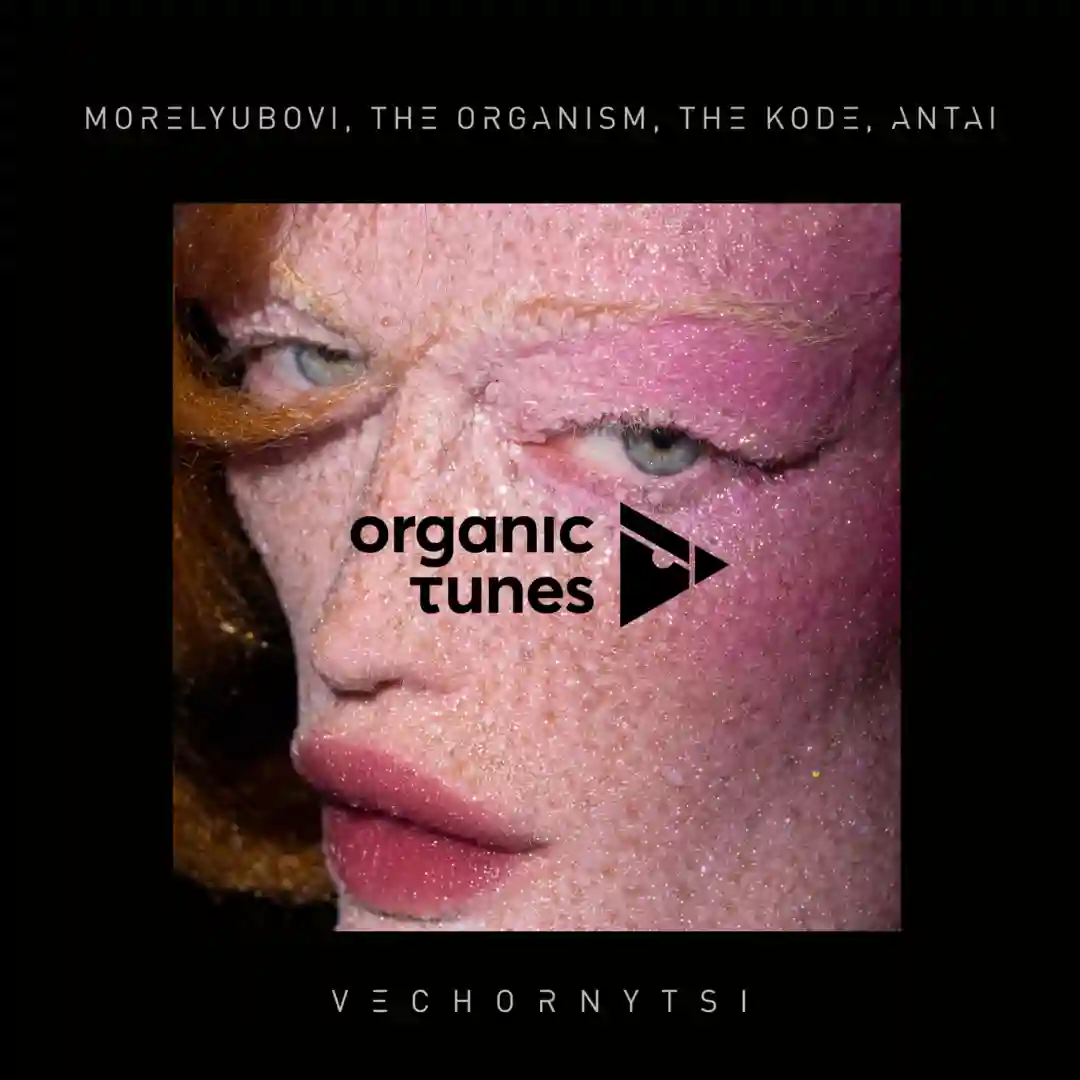 Vechornytsi (Original Mix) cover