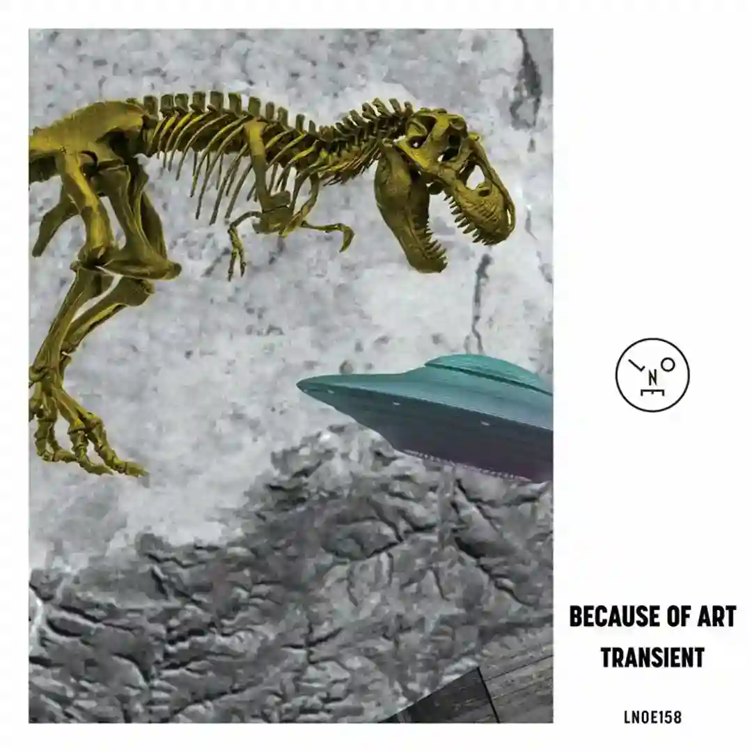 Transient (Extended) cover
