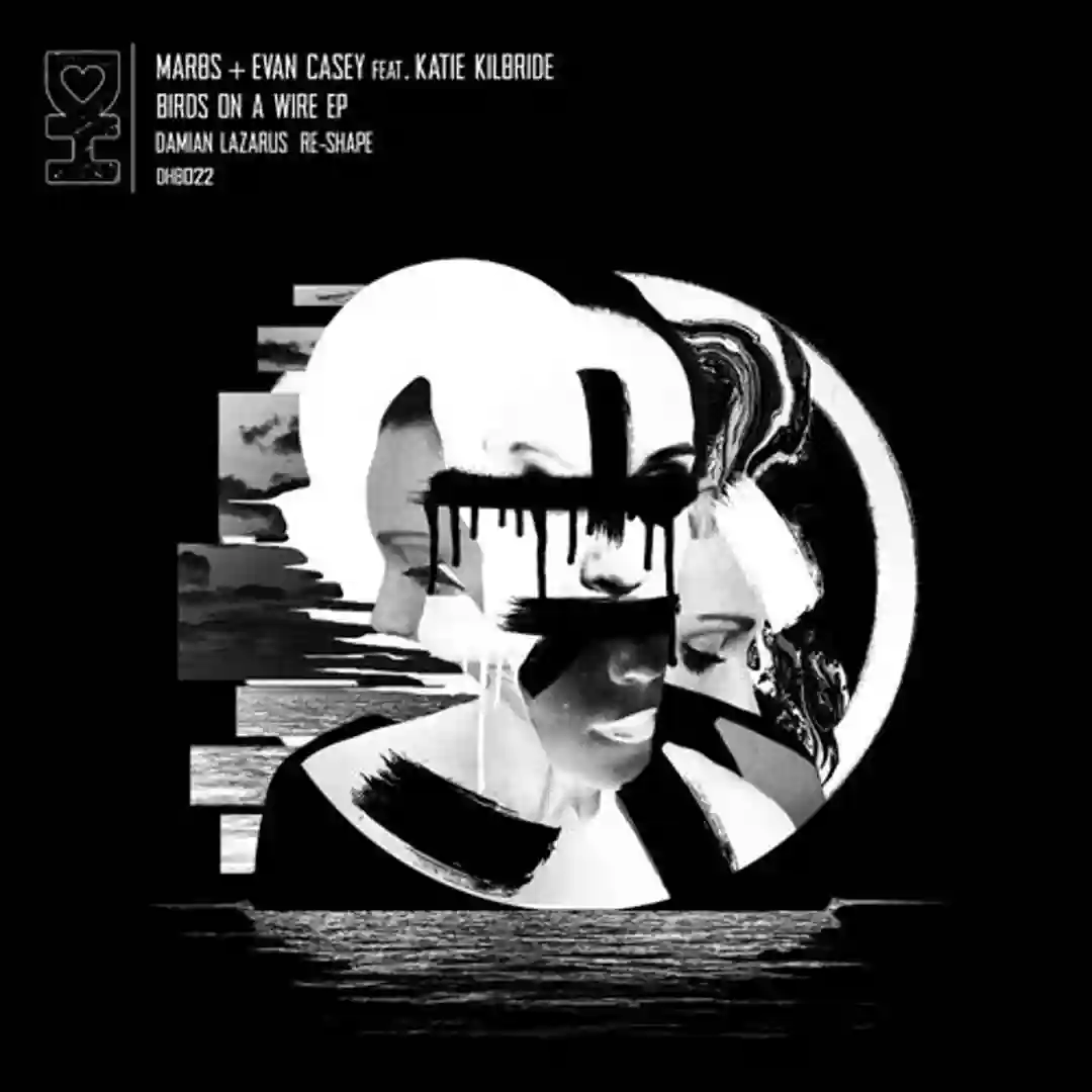 Birds on a Wire feat. Katie Kilbride (Damian Lazarus Re-Shape) cover