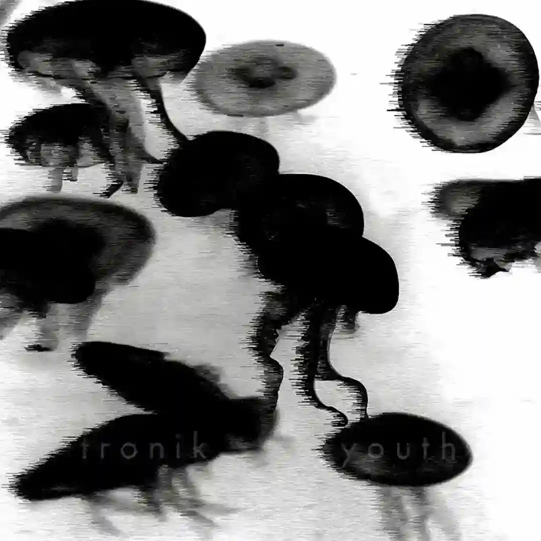 Splinter Of The Minds Eye (original mix) cover