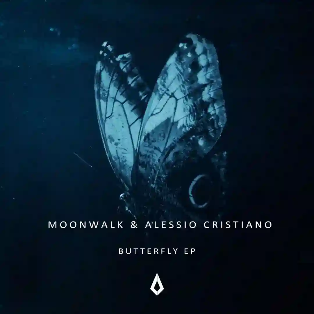 Butterfly (Extended Mix) cover