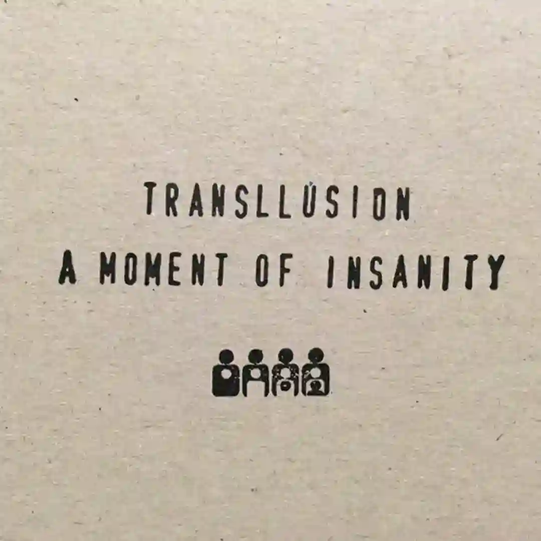 A Moment Of Insanity cover