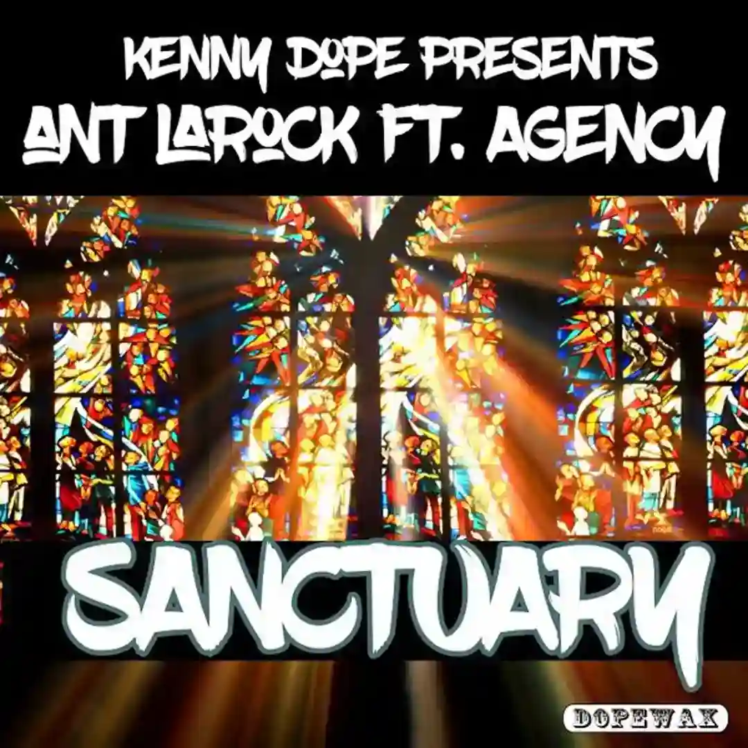 Sanctuary (Original Radio Edit) cover