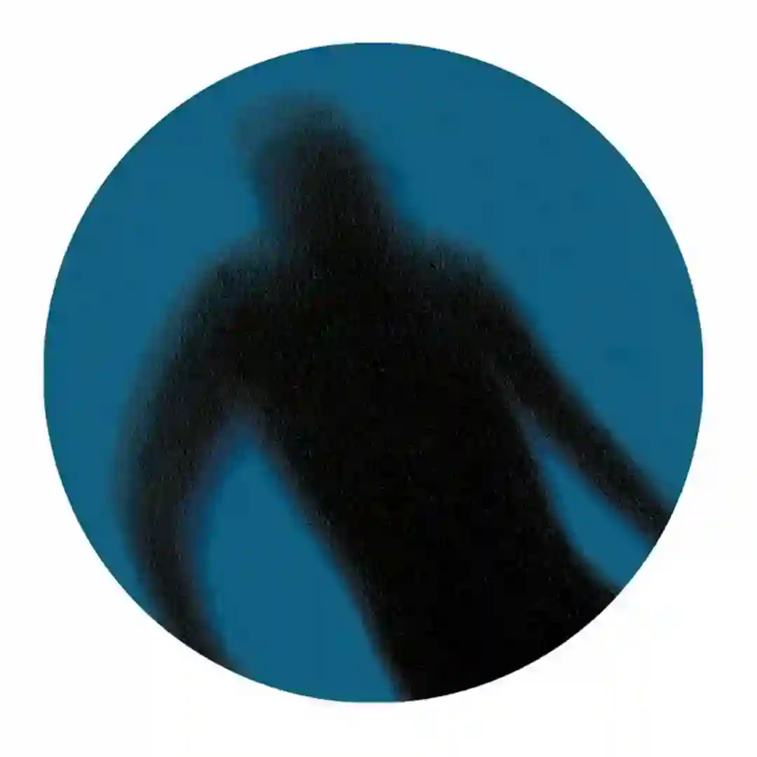 Walking The Streets (Legowelt Remix) cover