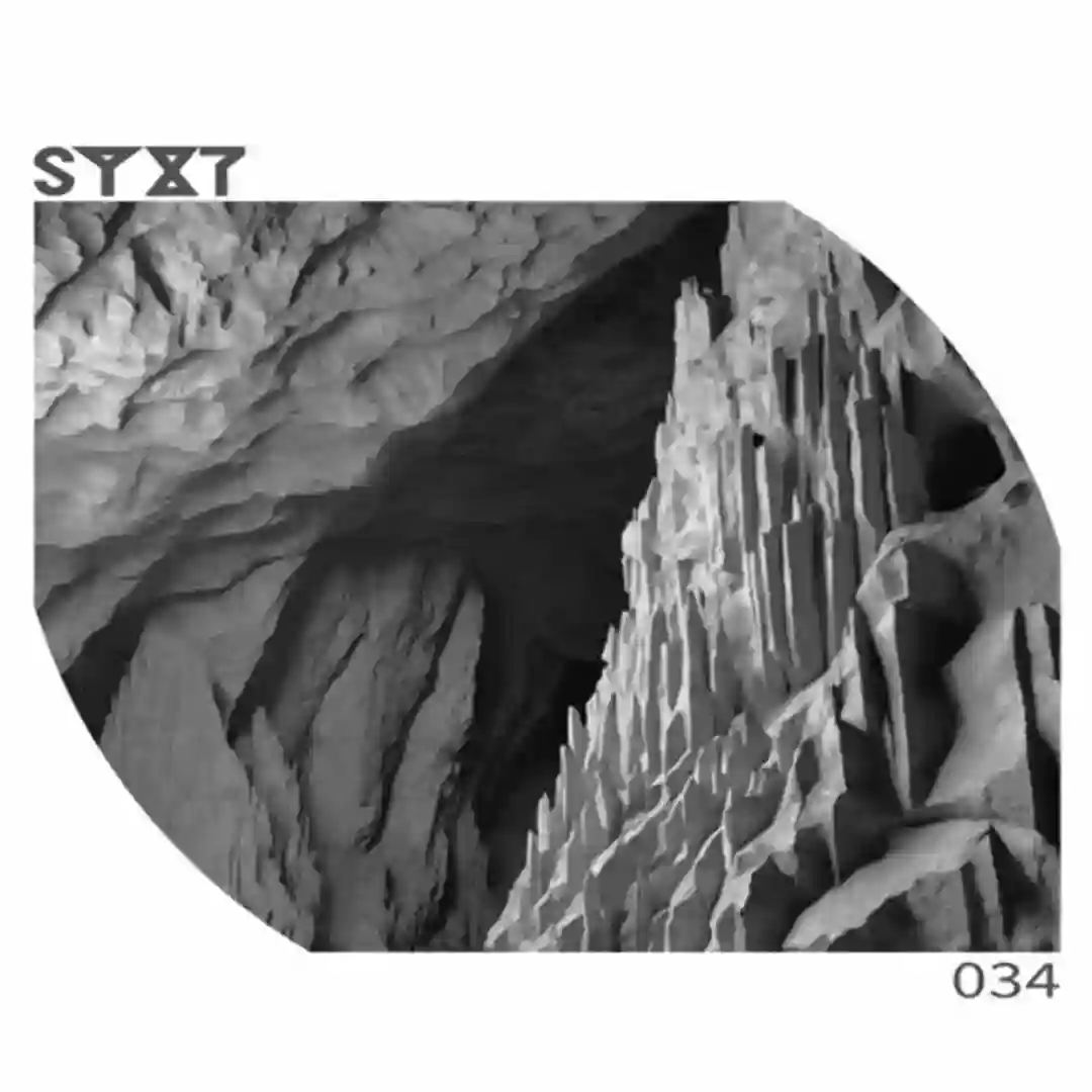 Vigor cover