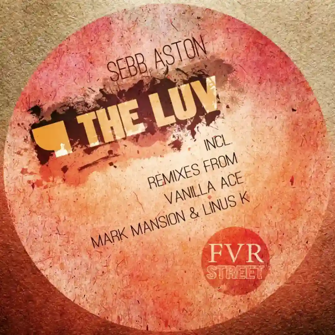 4 The Luv (Vanilla Ace Remix) cover