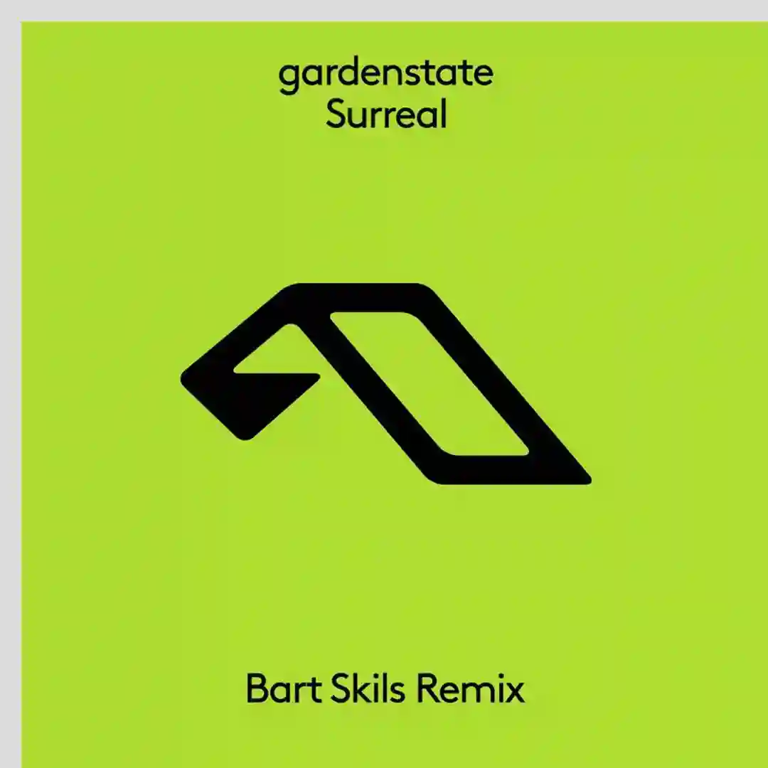 Surreal (Bart Skils Extended Mix) cover