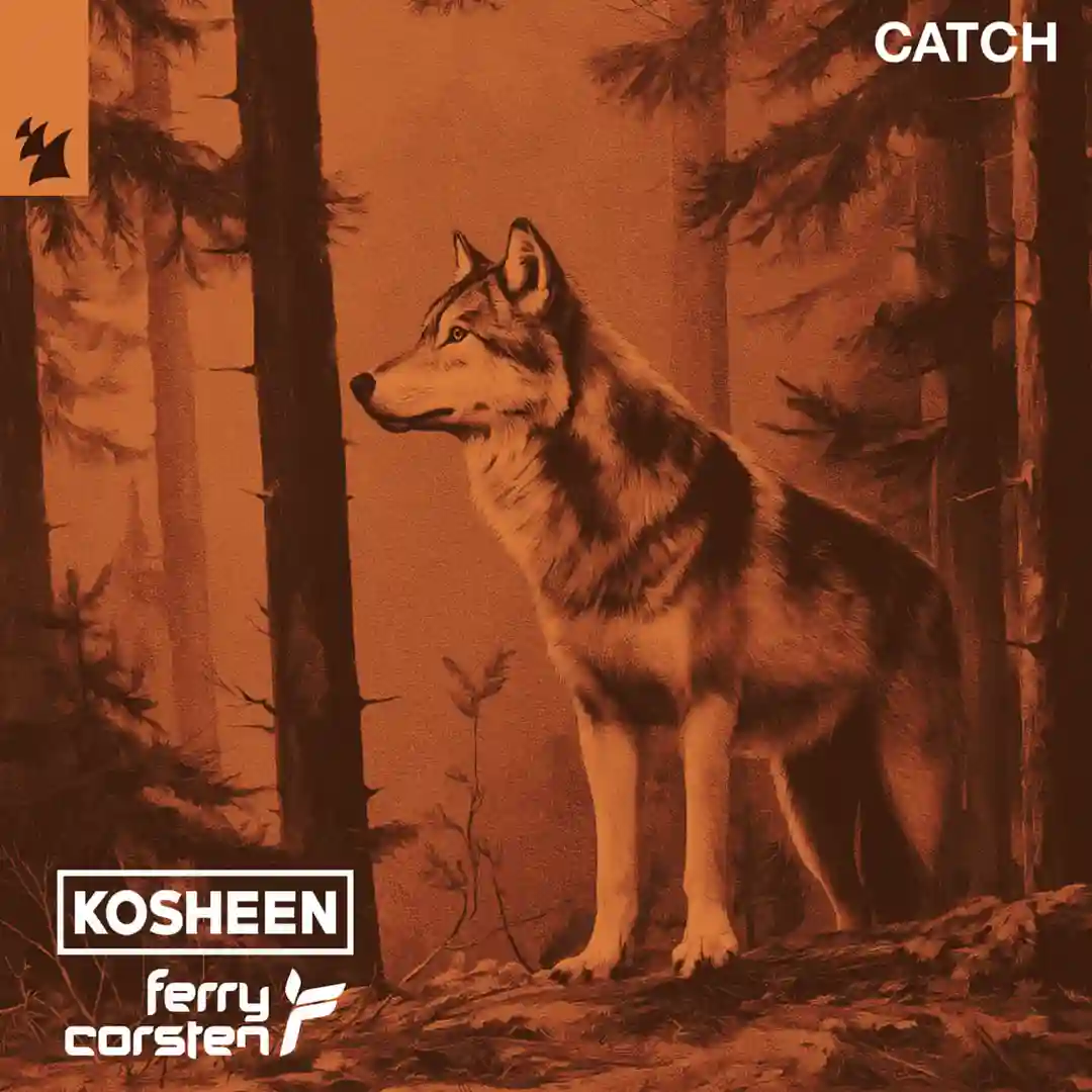 Catch cover