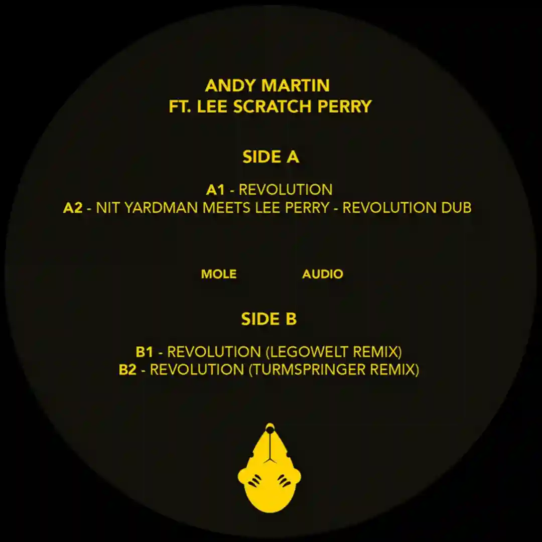 Revolution featuring Lee Scratch Perry (Turmspringer Remix) cover