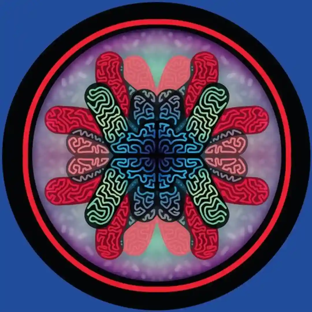 Discow cover
