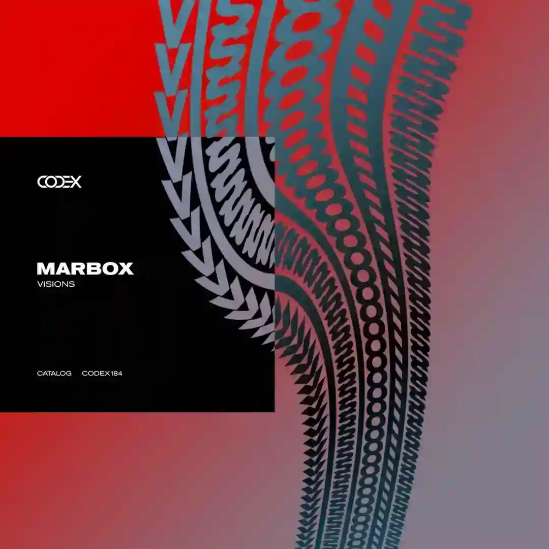 Visions cover