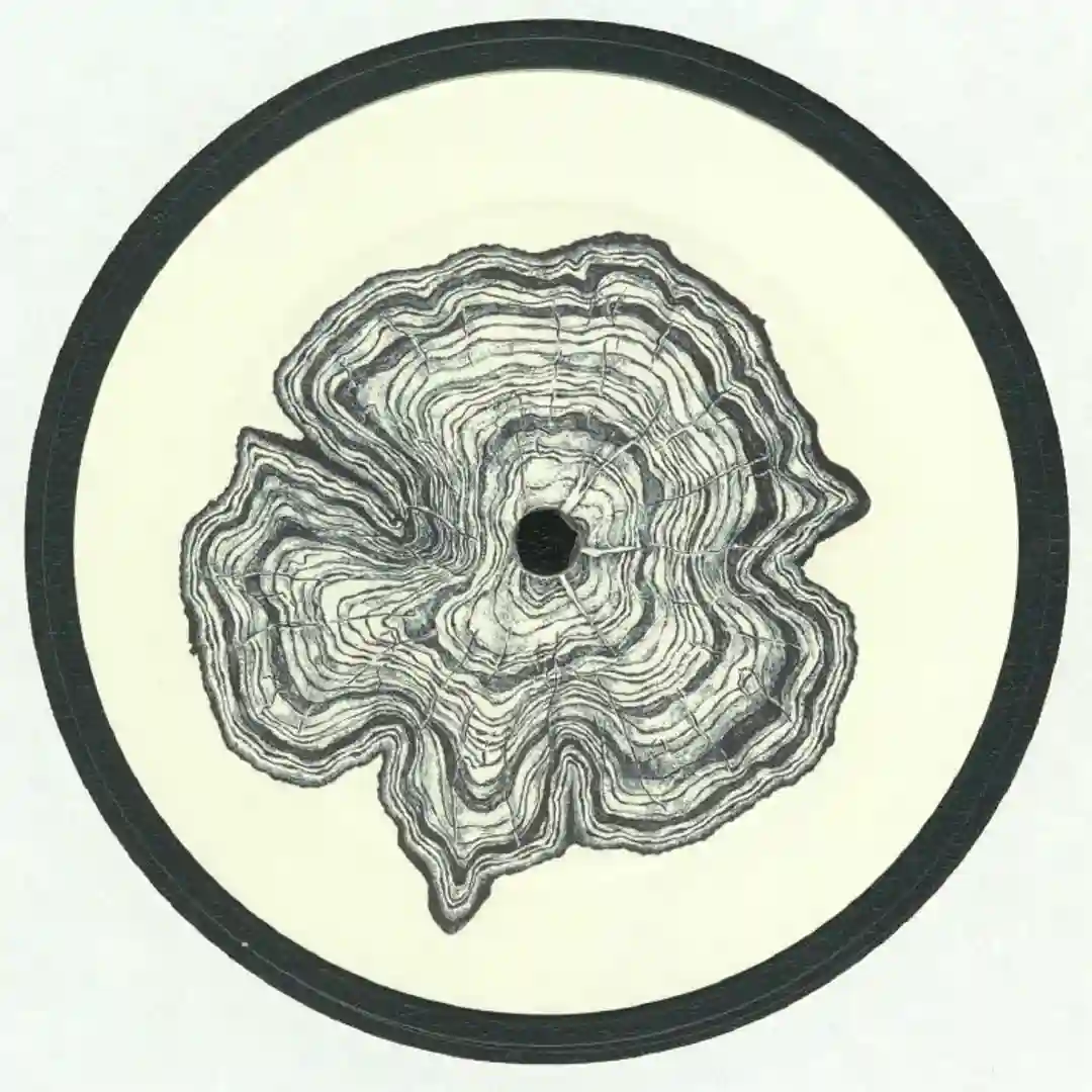 Cinco cover