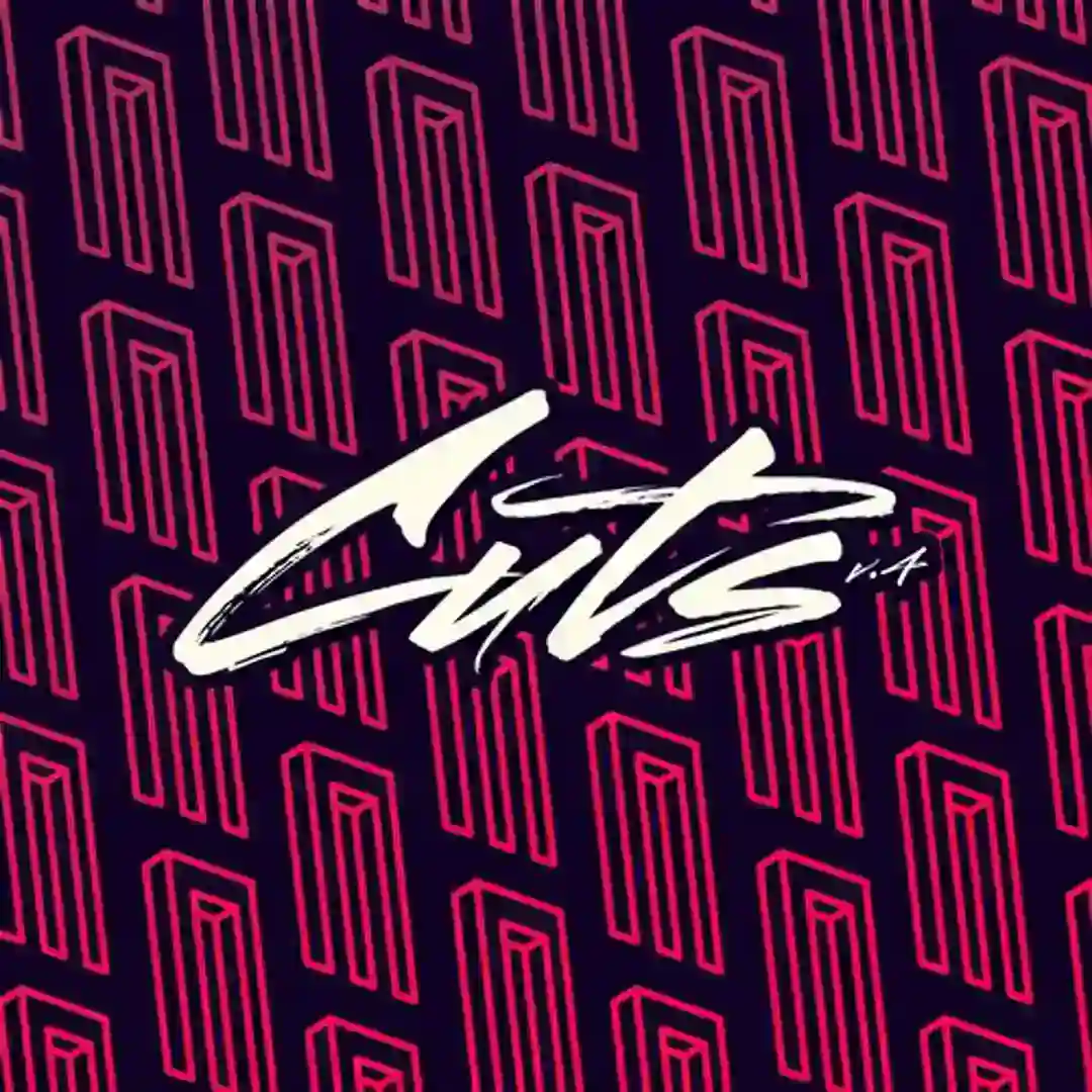 DJ Sneak Presents: Magnetic Cuts V.4 cover