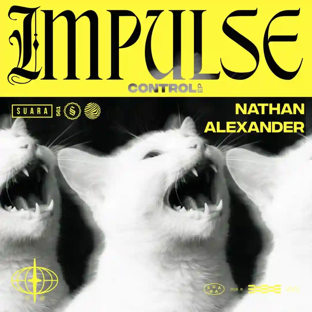 Shock'n Awe (Original Mix) cover