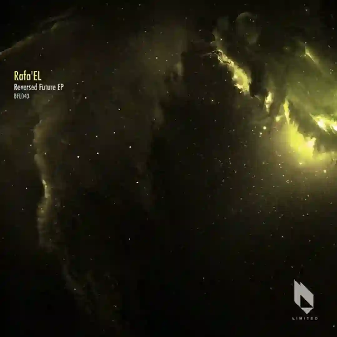 Reversed Future (Night Mix) cover