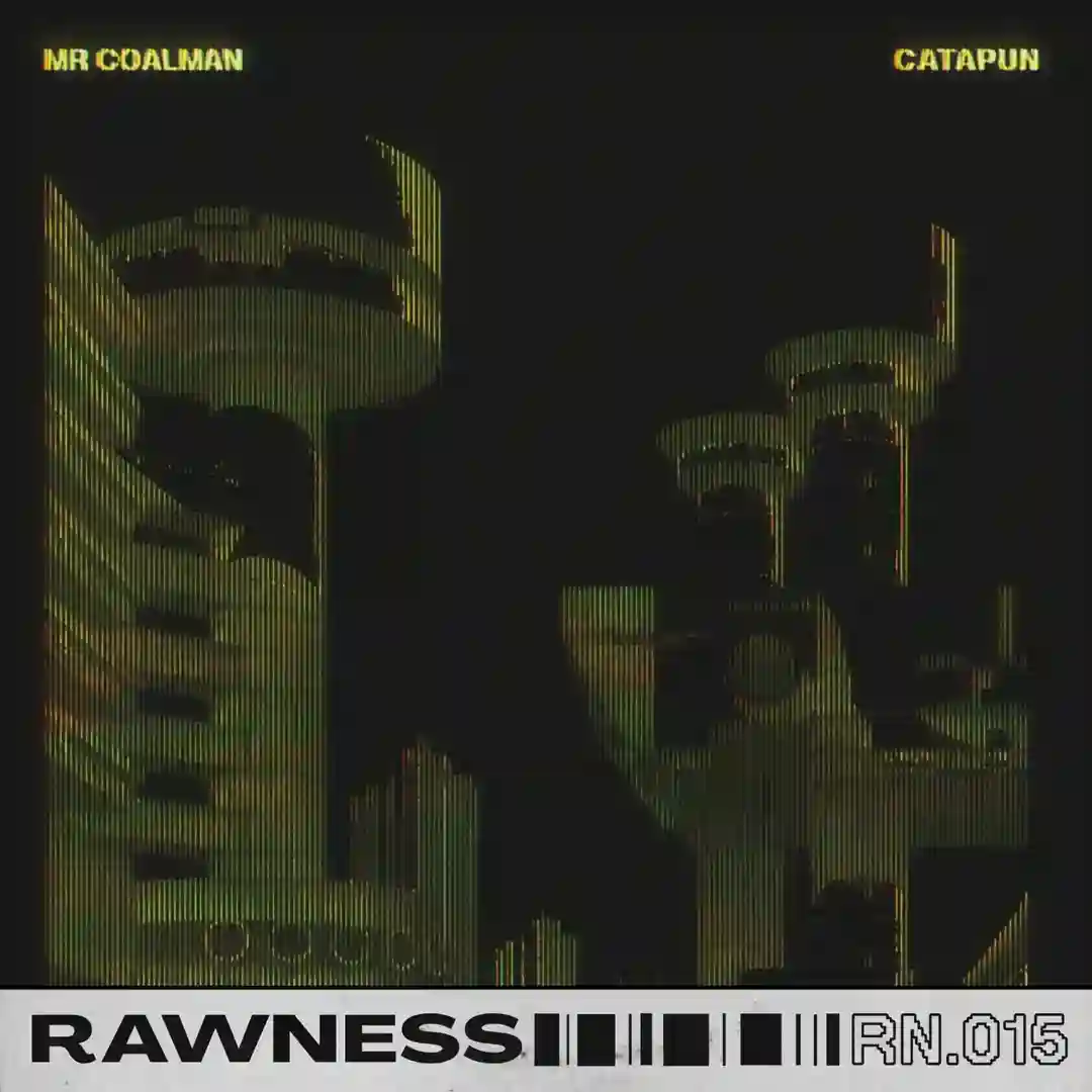Unannounced Inspection (Original Mix) cover