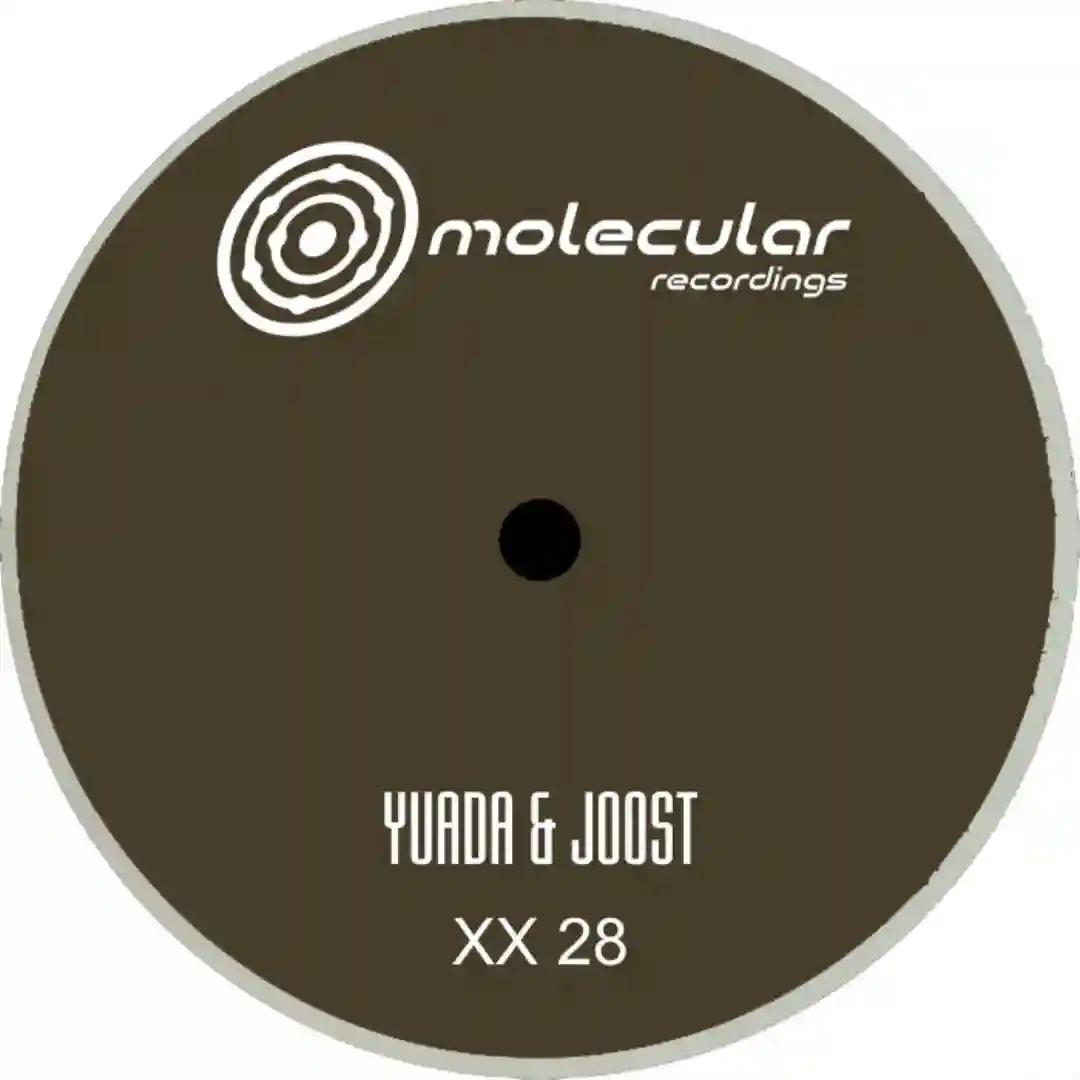 XX 28 B1 (Original Mix) cover