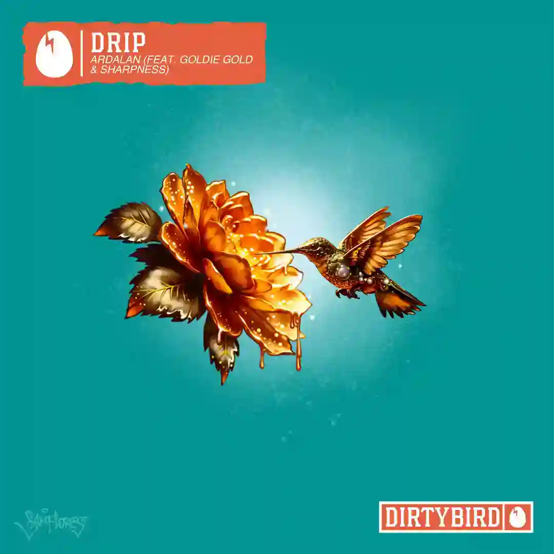 Drip (feat. Goldie Gold & Sharpness) cover