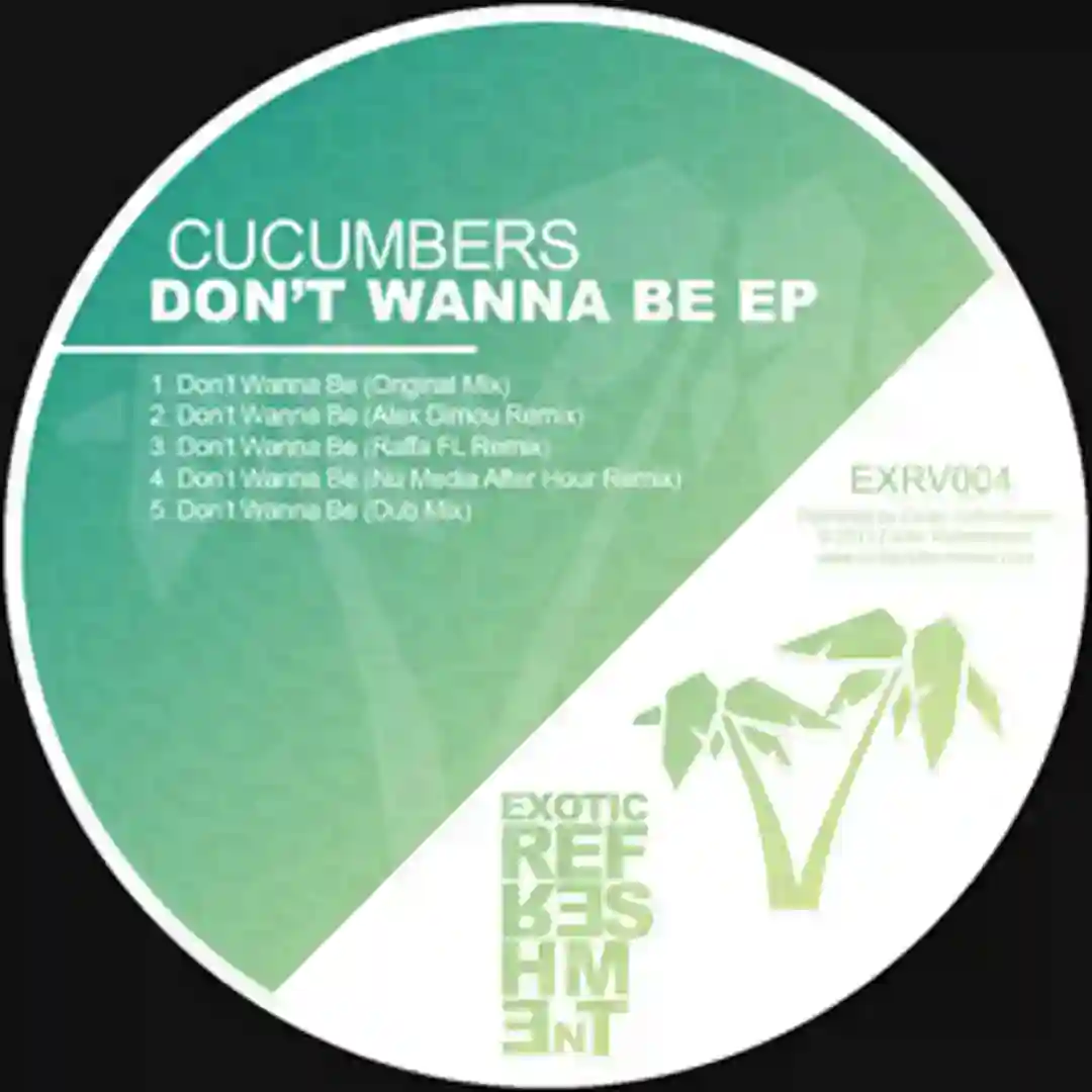 Don't Wanna Be (Raffa FL remix) cover