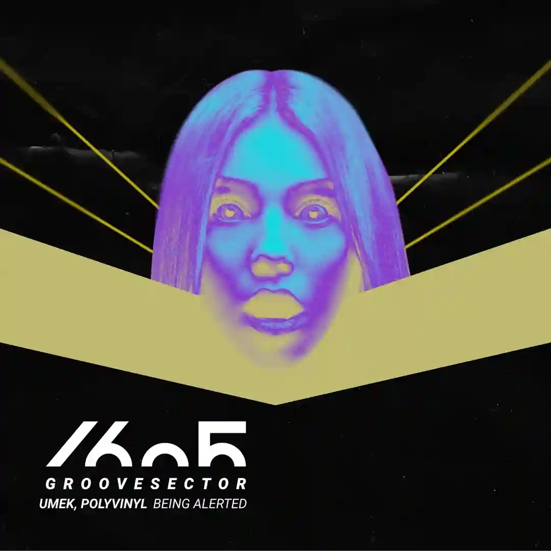 React Accordingly (Original Mix) cover