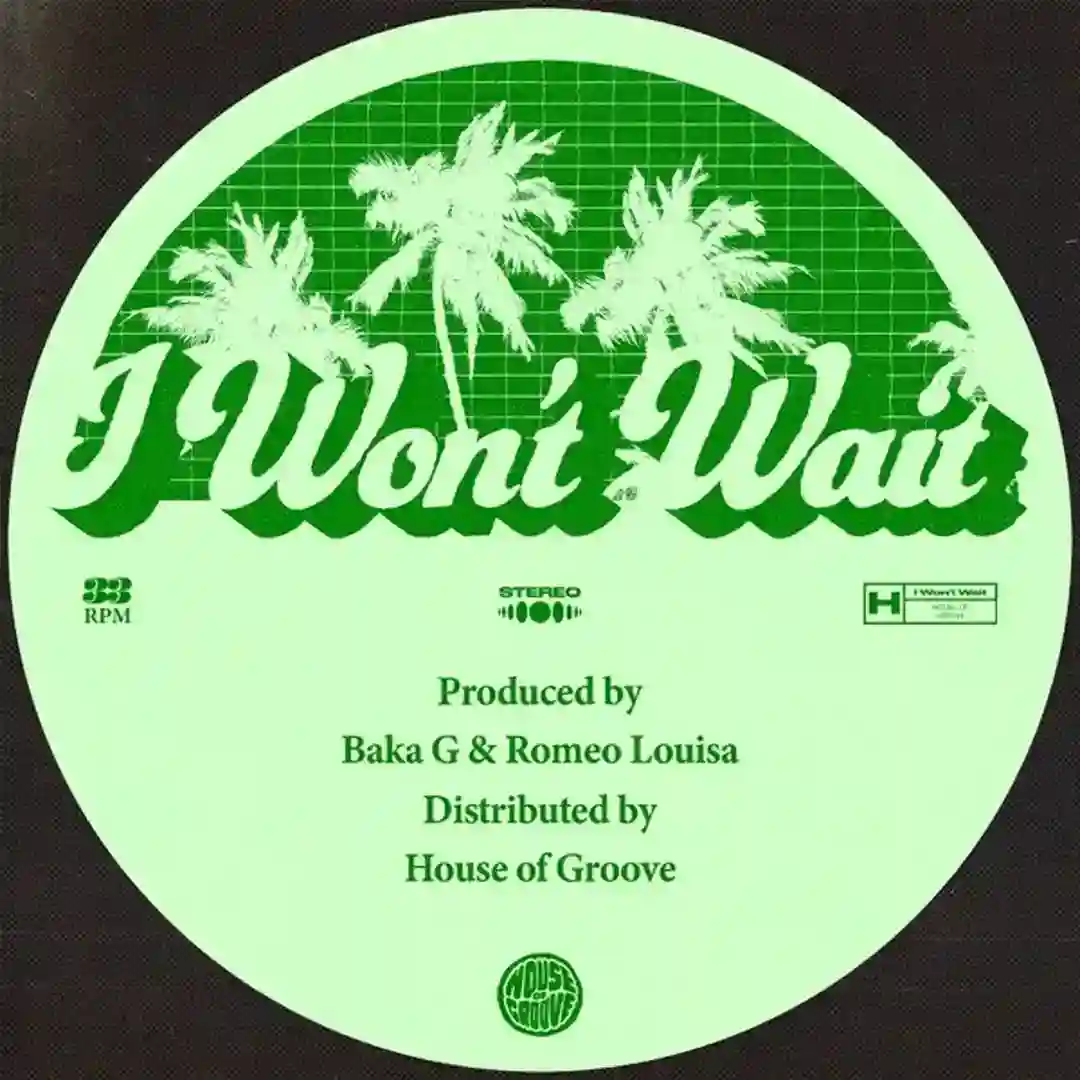 I Won't Wait cover