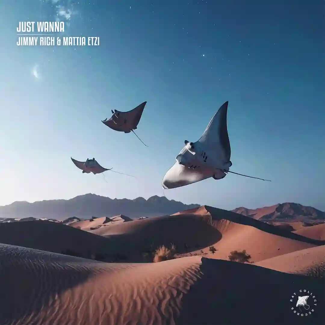 Just Wanna (Extended Mix) cover