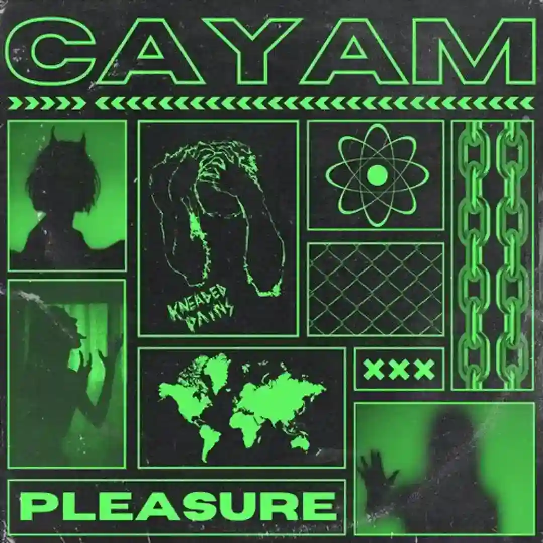 Pleasure cover
