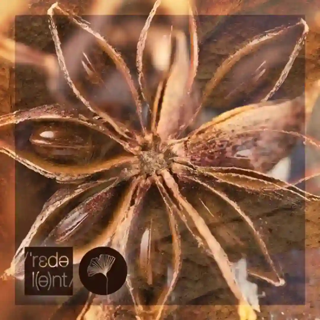 Puñaladas cover