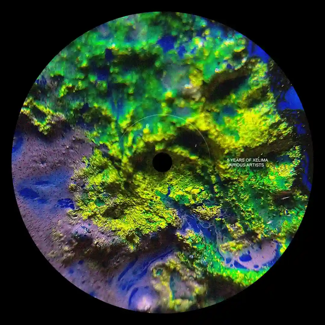 Meld Zukur (Original Mix) cover