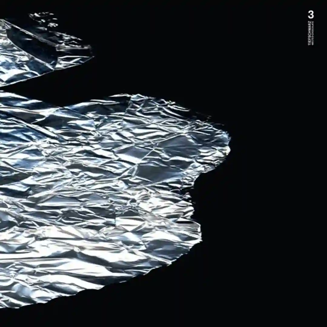 The Whistler (Nic Fanciulli Remix) cover
