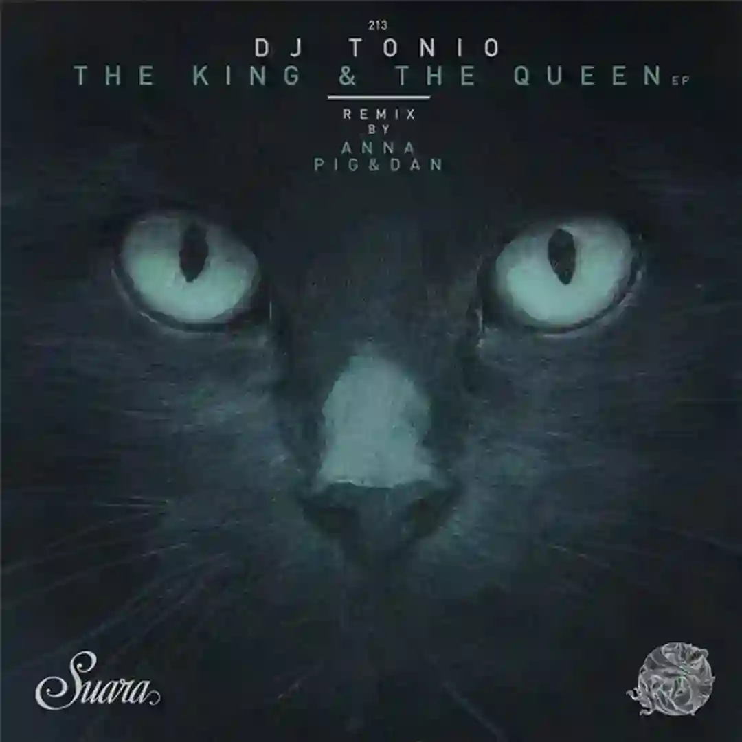 King (Pig&Dan Remix) cover