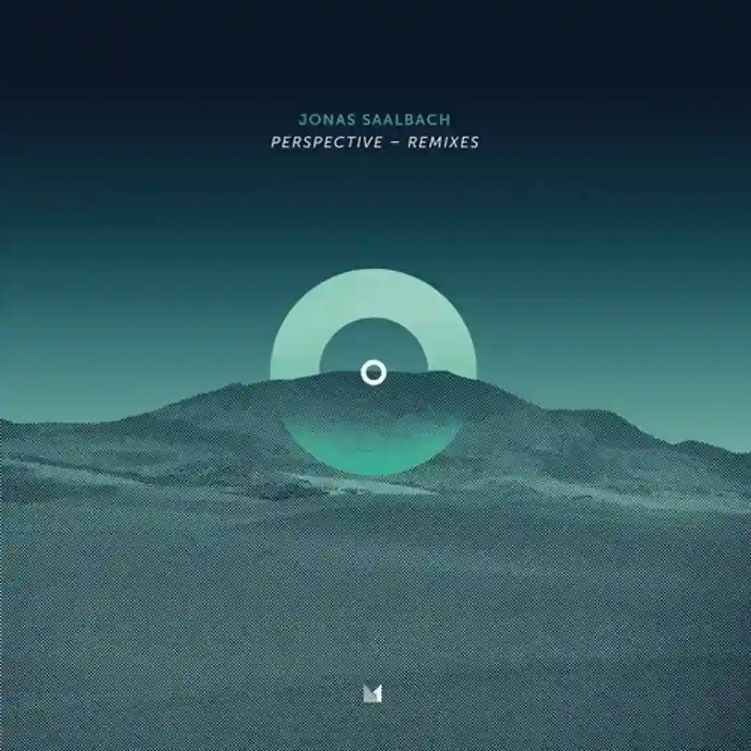 Perspective (Remixes) cover