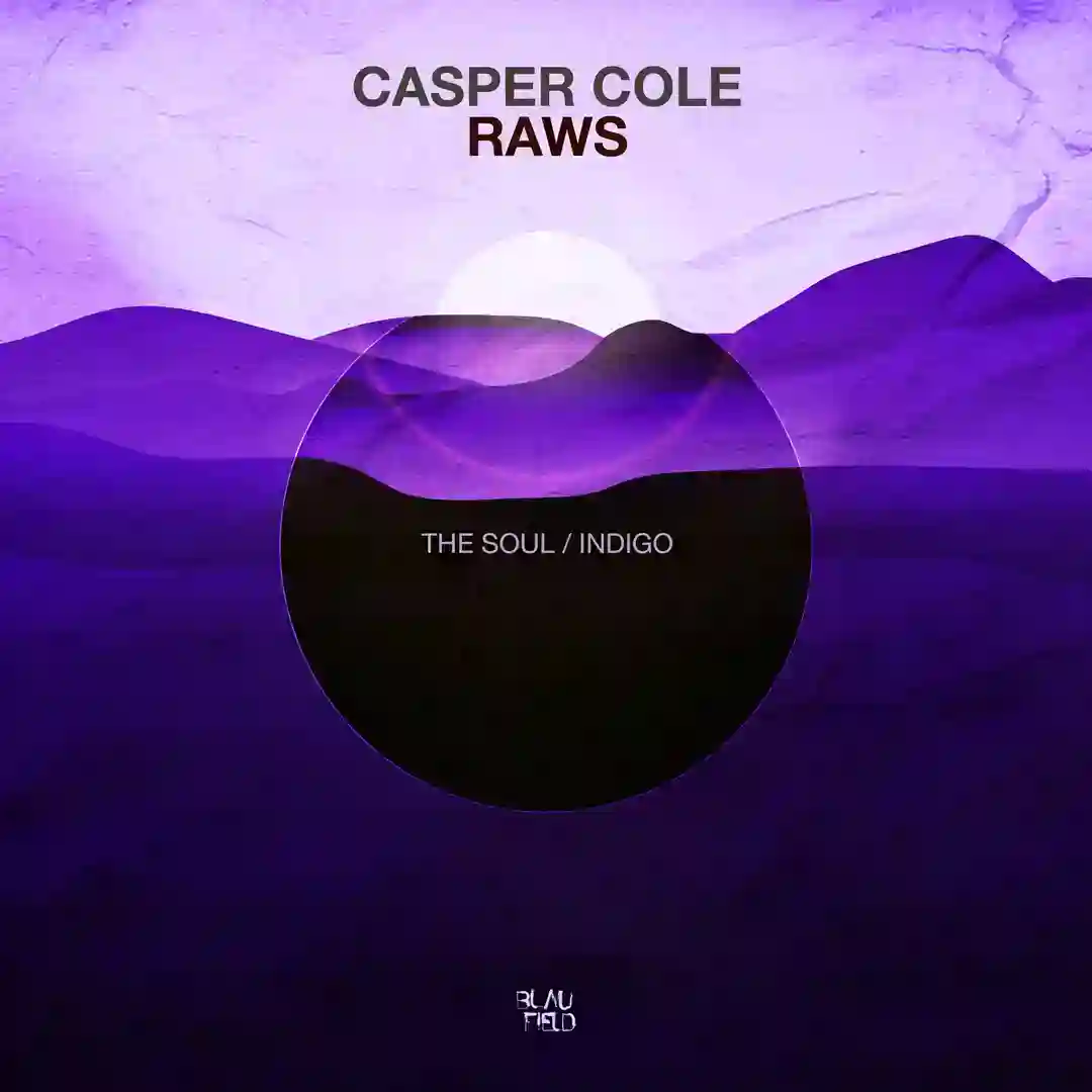 Indigo (Original Mix) cover