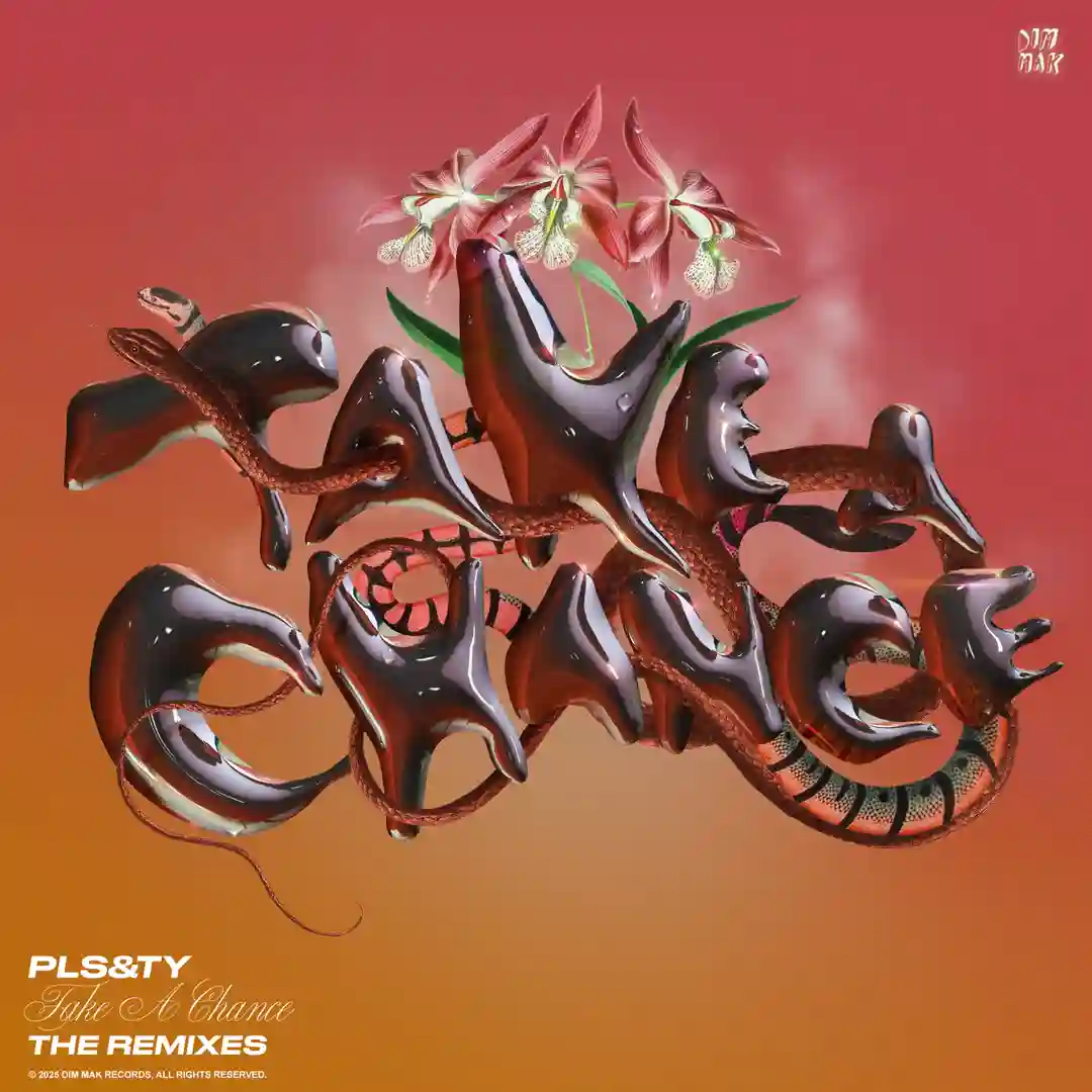 Take A Chance (GROSSOMODDO Extended Mix) cover