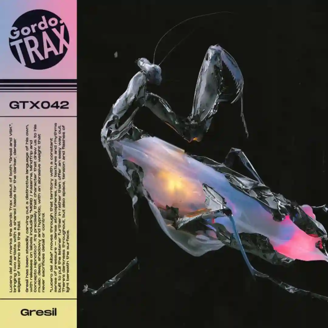 Colera (VSK Remix) cover