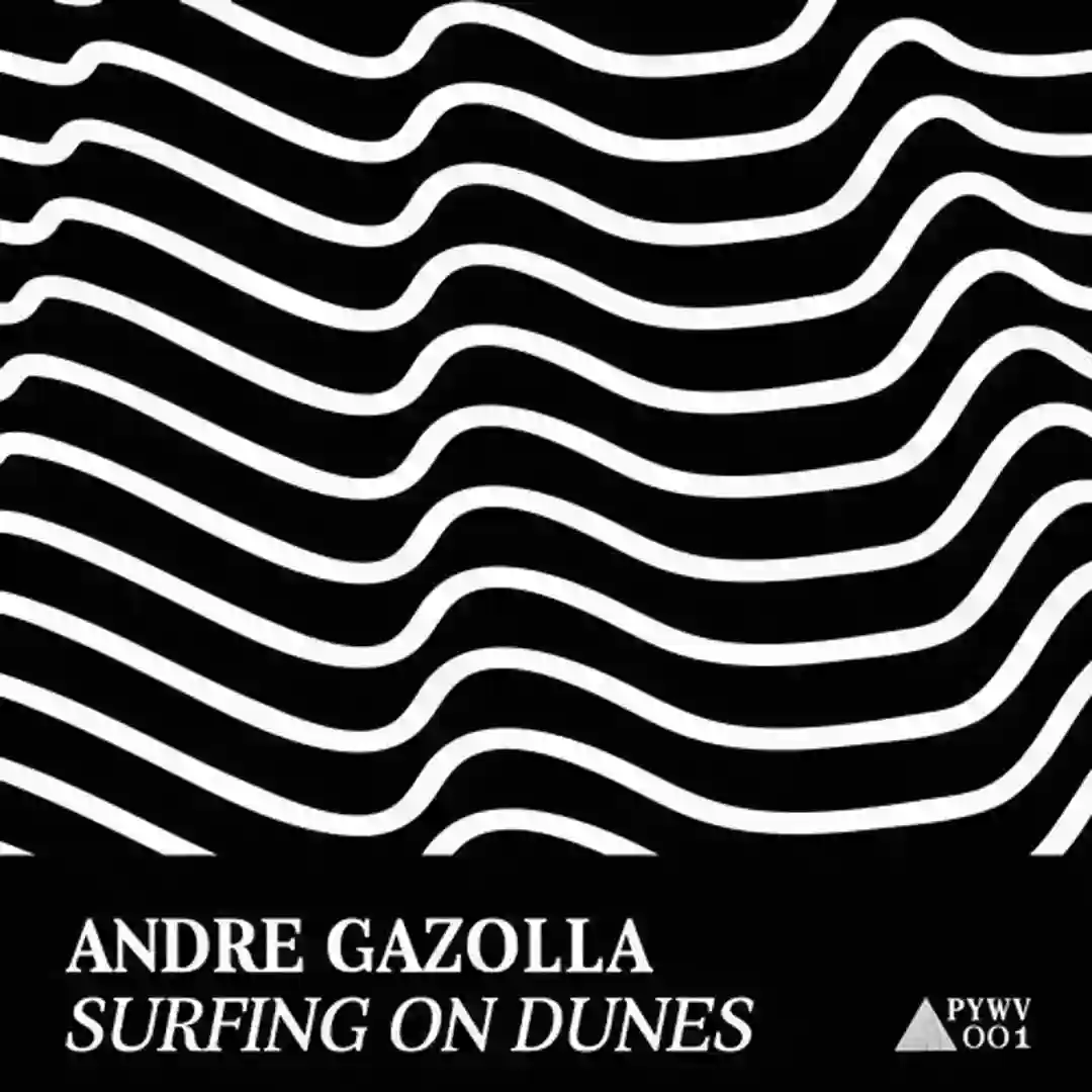 Surfing On Dunes cover