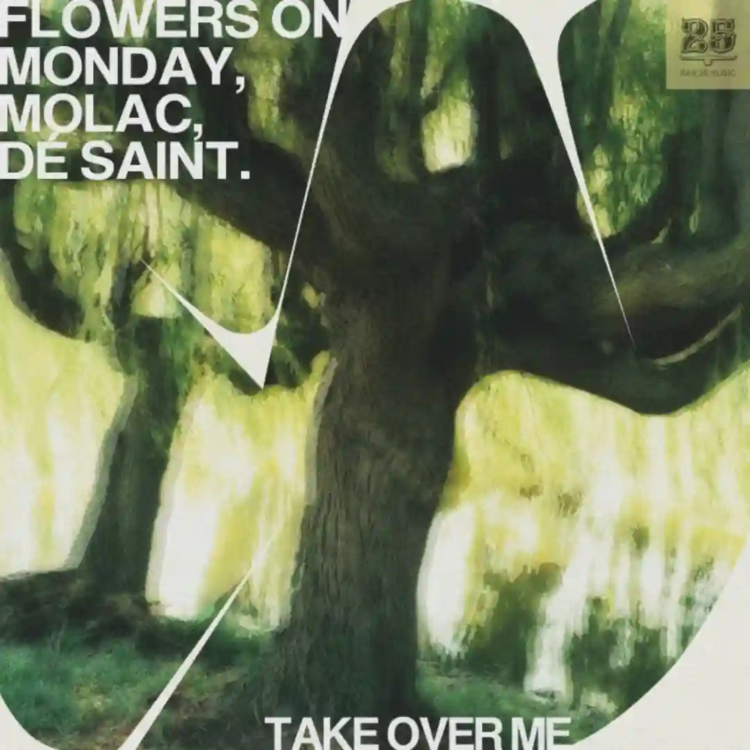 Take Over Me cover