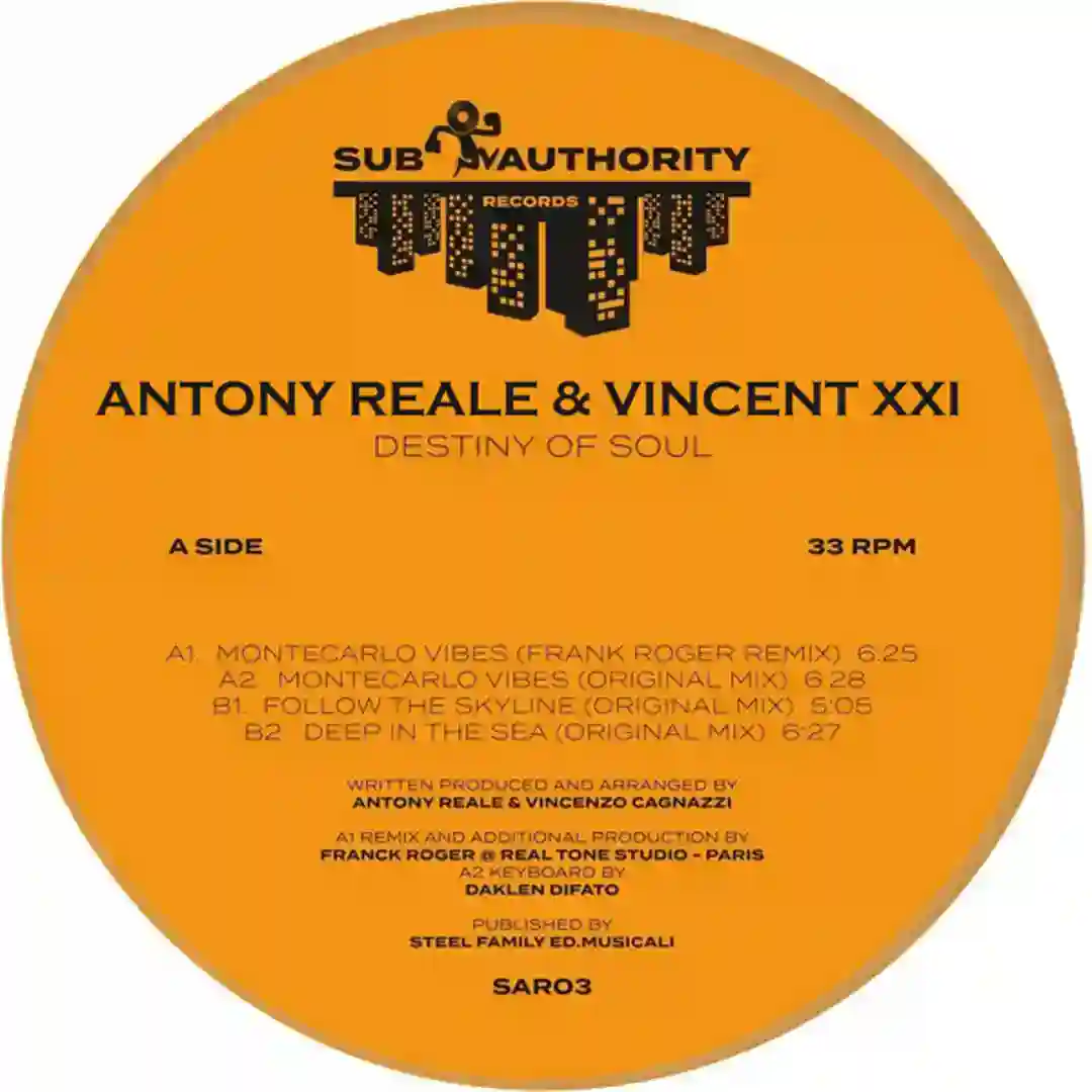 Montecarlo Vibes (Original Mix) cover