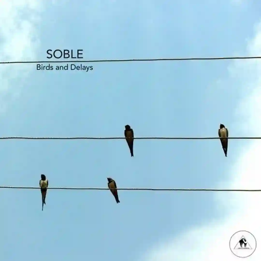 Birds and Delays cover