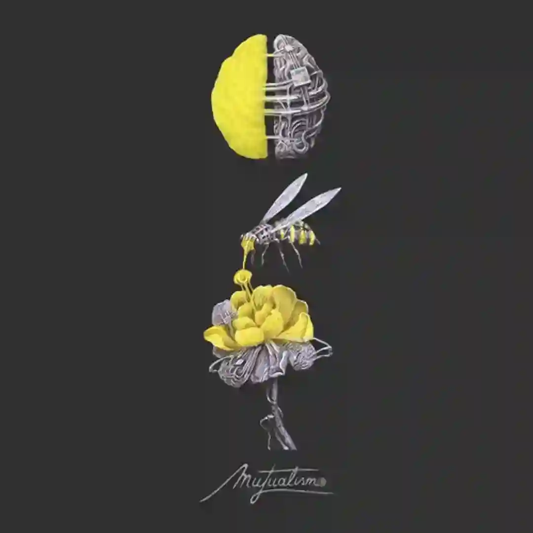 Misery (Original Mix) cover