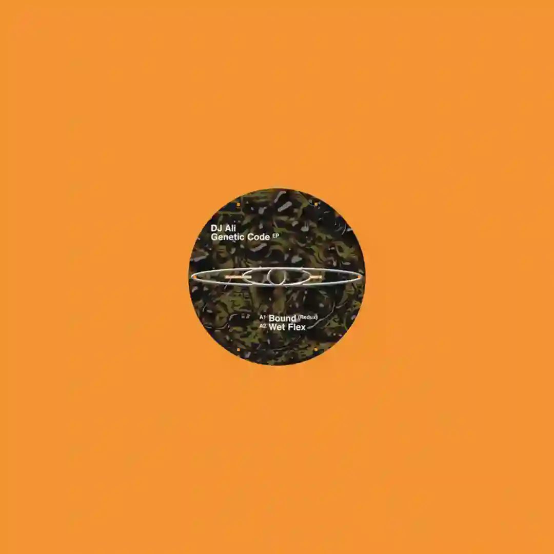 Wet Fex (Original Mix) cover
