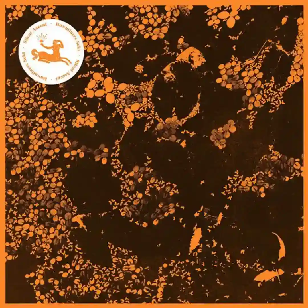 Balt Shakt II (Original Mix) cover
