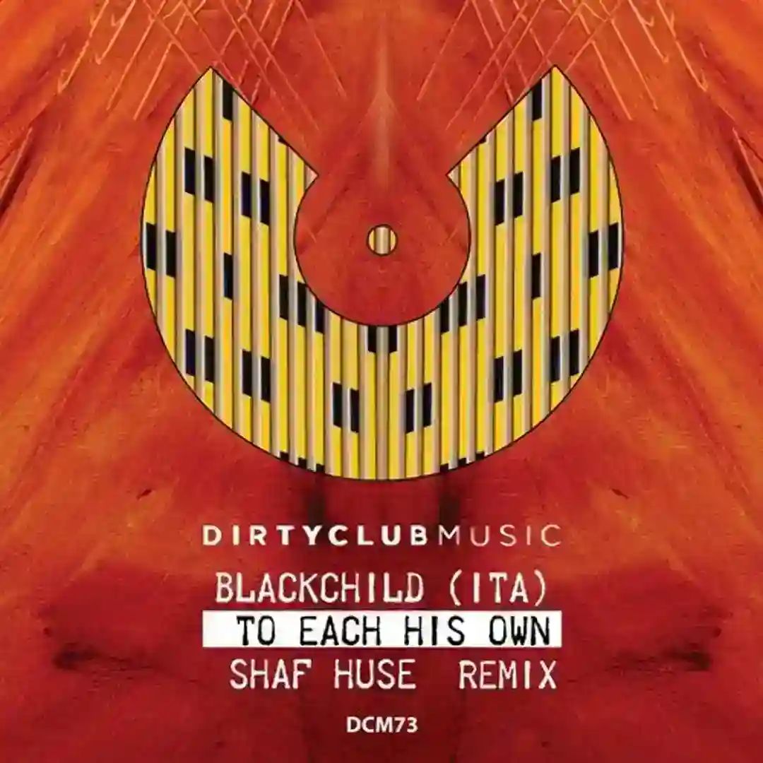 To each his own (Shaf Huse Remix) cover