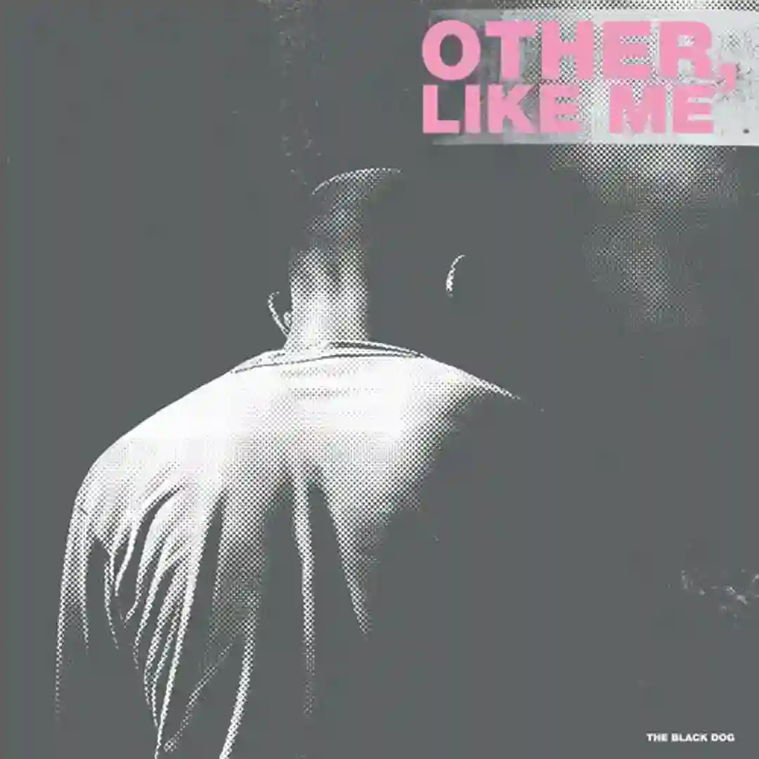 In A Place Like This cover